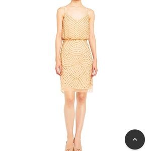 Adrianna Papell Sequin Blouson Dress
